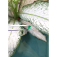 0.45 Ct. Emerald from Zambia Life Style