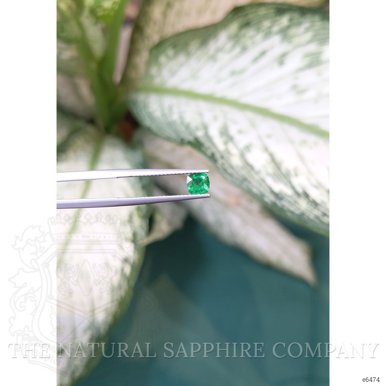 0.45 Ct. Emerald from Zambia