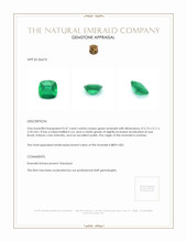 0.47 Ct. Emerald from Zambia Appraisal