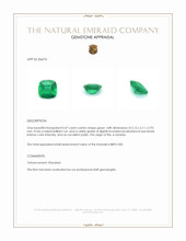 0.47 Ct. Emerald from Zambia Appraisal