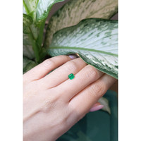 0.50 Ct. Emerald from Zambia Life Style