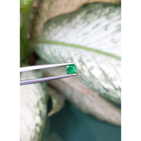 0.50 Ct. Emerald from Zambia Life Style