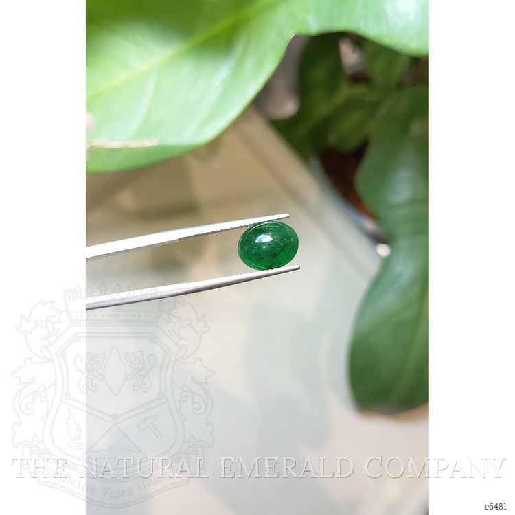 3.60 Ct. Cabochon Emerald from Zambia