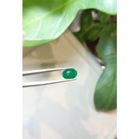 2.79 Ct. Cabochon Emerald from Zambia Life Style