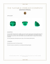 3.34 Ct. Emerald from Colombia Appraisal
