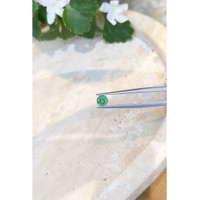 0.59 Ct. Emerald from Zambia Life Style