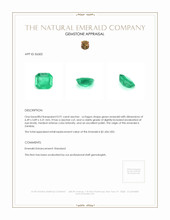 0.91 Ct. Emerald from Zambia Appraisal