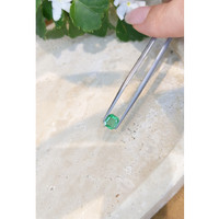 0.91 Ct. Emerald from Zambia Life Style