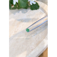 0.61 Ct. Emerald from Zambia Life Style