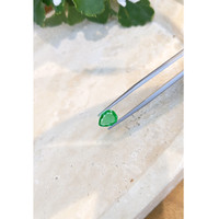 1.19 Ct. Emerald from Zambia Life Style