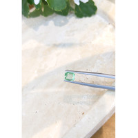 1.03 Ct. Emerald from Zambia Life Style