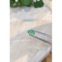 0.97 Ct. Emerald from Zambia Life Style