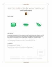 0.72 Ct. Emerald from Zambia Appraisal