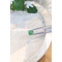 0.72 Ct. Emerald from Zambia Life Style