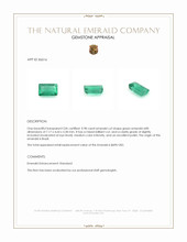 0.98 Ct. Emerald from Brazil Appraisal