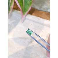 0.98 Ct. Emerald from Brazil Life Style