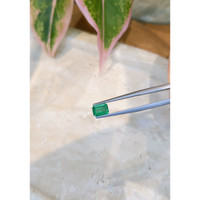 0.95 Ct. Emerald from Zambia Life Style