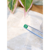 1.15 Ct. Emerald from Zambia Life Style