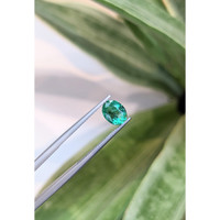 1.18 Ct. Emerald from Zambia Life Style