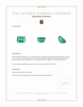1.19 Ct. Emerald from Zambia Appraisal