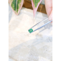 1.19 Ct. Emerald from Zambia Life Style