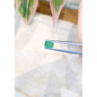 1.19 Ct. Emerald from Zambia Life Style