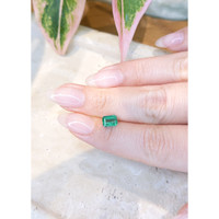 1.19 Ct. Emerald from Zambia Life Style