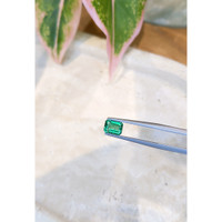 1.40 Ct. Emerald from Zambia Life Style