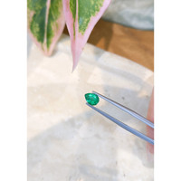 0.68 Ct. Emerald from Zambia Life Style