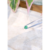 0.66 Ct. Emerald from Zambia Life Style