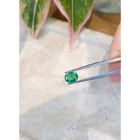 1.20 Ct. Emerald from Zambia Life Style