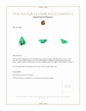 0.59 Ct. Emerald from Zambia Appraisal