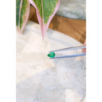 0.59 Ct. Emerald from Zambia Life Style