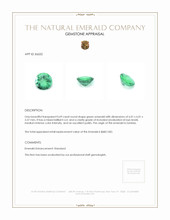 0.69 Ct. Emerald from Zambia Appraisal