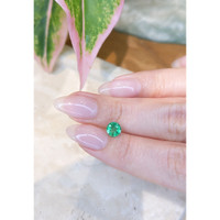 0.69 Ct. Emerald from Zambia Life Style