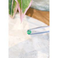 0.69 Ct. Emerald from Zambia Life Style
