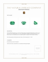 1.01 Ct. Emerald from Zambia Appraisal