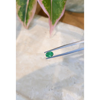 1.01 Ct. Emerald from Zambia Life Style