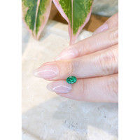 1.01 Ct. Emerald from Zambia Life Style