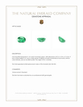 1.23 Ct. Emerald from Zambia Appraisal
