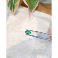 1.23 Ct. Emerald from Zambia Life Style