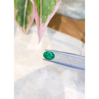 1.25 Ct. Emerald from Zambia Life Style