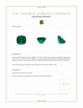 3.75 Ct. Emerald from Colombia Appraisal