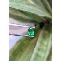 1.35 Ct. Emerald from Zambia Life Style