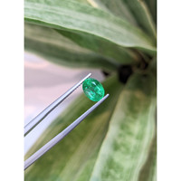 1.67 Ct. Emerald from Zambia Life Style
