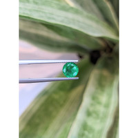0.88 Ct. Emerald from Zambia Life Style