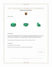 0.93 Ct. Emerald from Zambia Appraisal