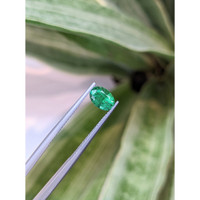 0.93 Ct. Emerald from Zambia Life Style