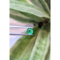 0.93 Ct. Emerald from Zambia Life Style