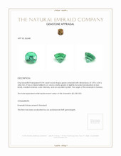 0.94 Ct. Emerald from Zambia Appraisal